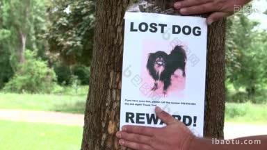 宠物主人在街坊邻里张贴走失狗的悬赏海报